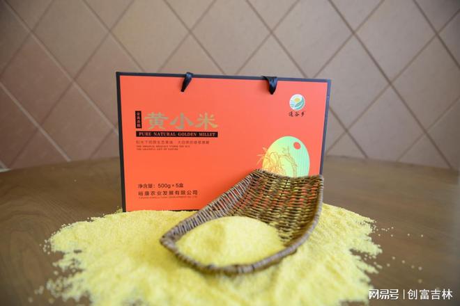 裕康农业专注小米深加工(图2)