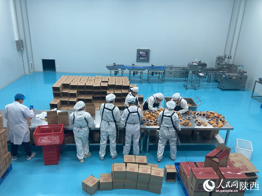 很养人的米脂小米熟啦！(图4)
