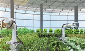 2023农产品深加工行业现状与市场发展前景趋势分析(图6)