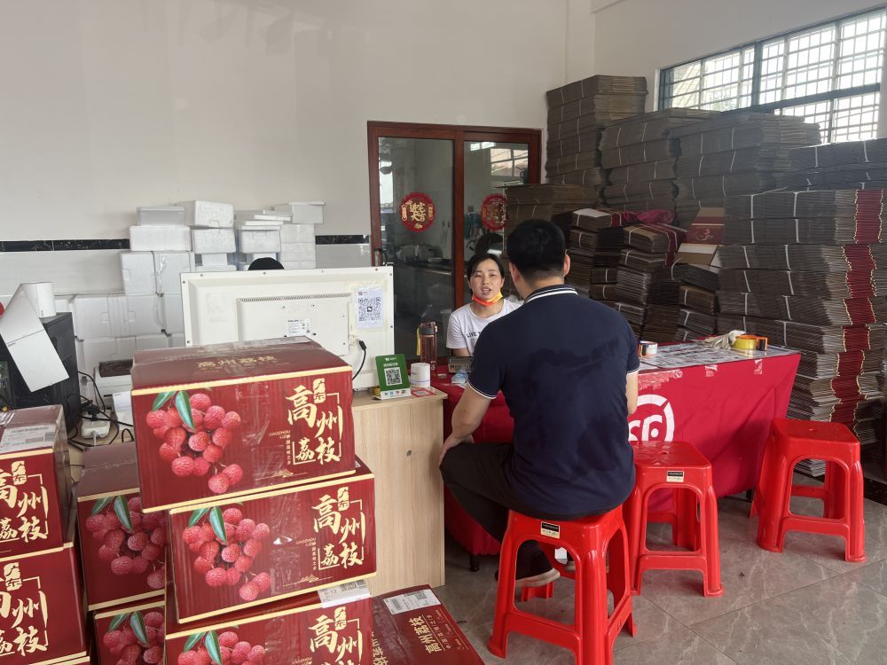 广东茂名：荔枝之乡进入“甜蜜季节”(图2)