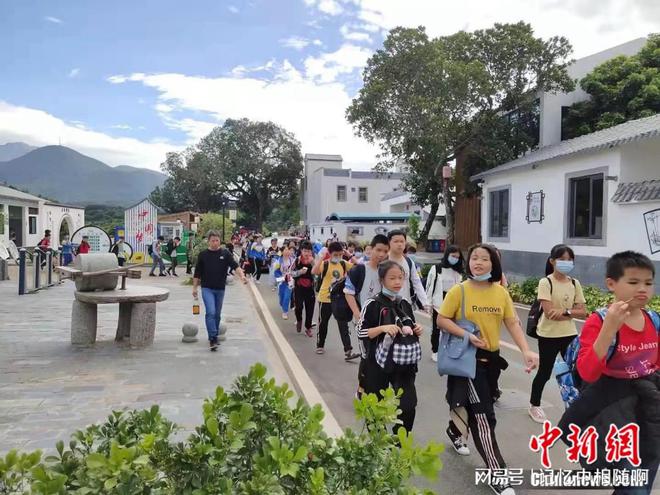 “中国荔乡”广东高州“甜美风景”引百万游客过大年