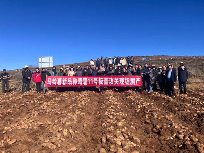 全国第一条土豆米生产线在昭通巧家正式投产运行！马铃薯里的新质生产力