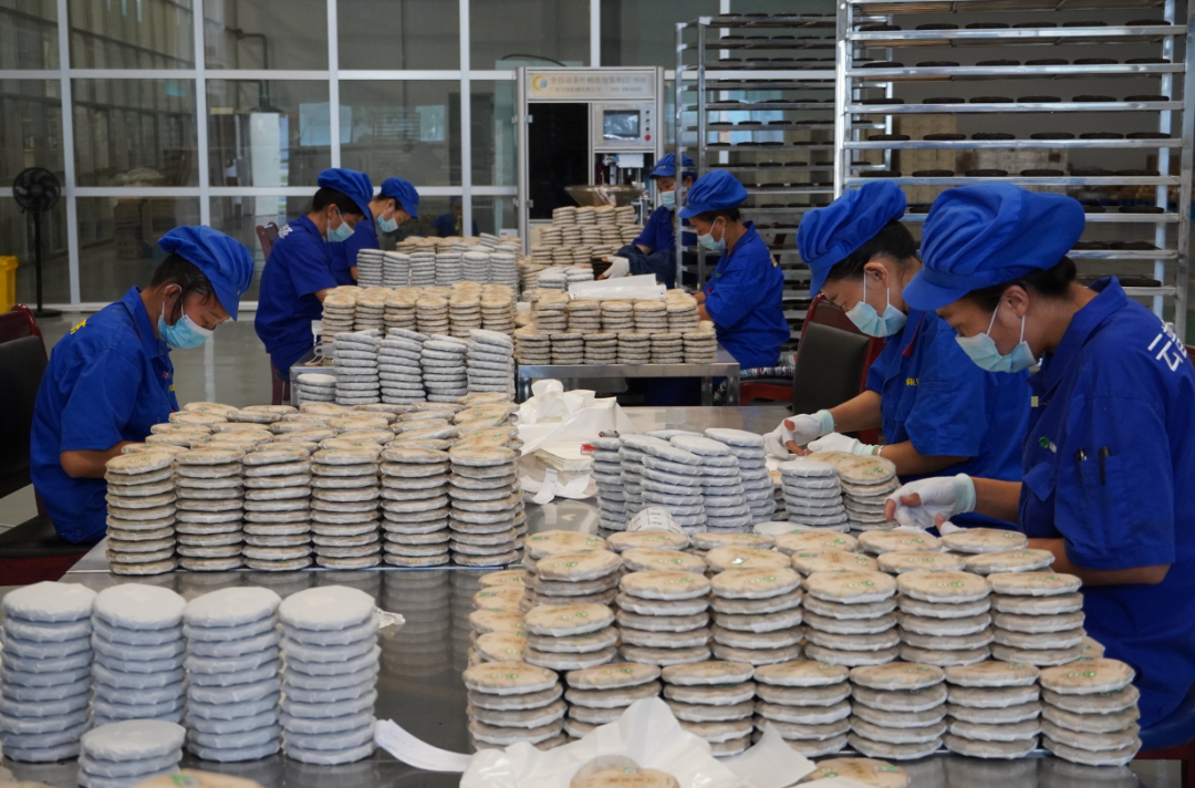 普洱思茅：茶韵咖香交织助力产业升级(图3)