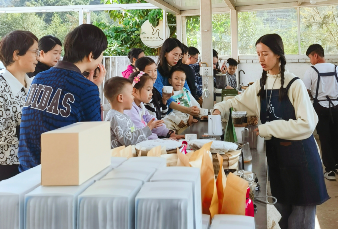 普洱思茅：茶韵咖香交织助力产业升级(图12)