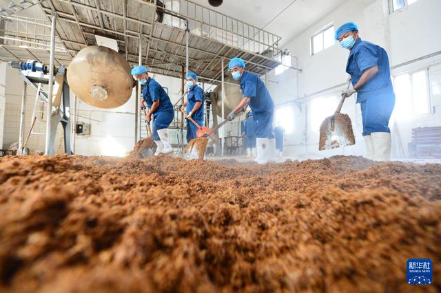山东滕州：农产品深加工助力乡村振兴(图4)
