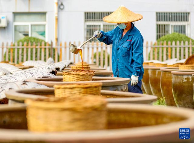 山东滕州：农产品深加工助力乡村振兴(图7)