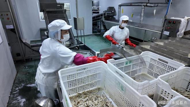 河北平泉：建立农产品加工体系助力乡村振兴