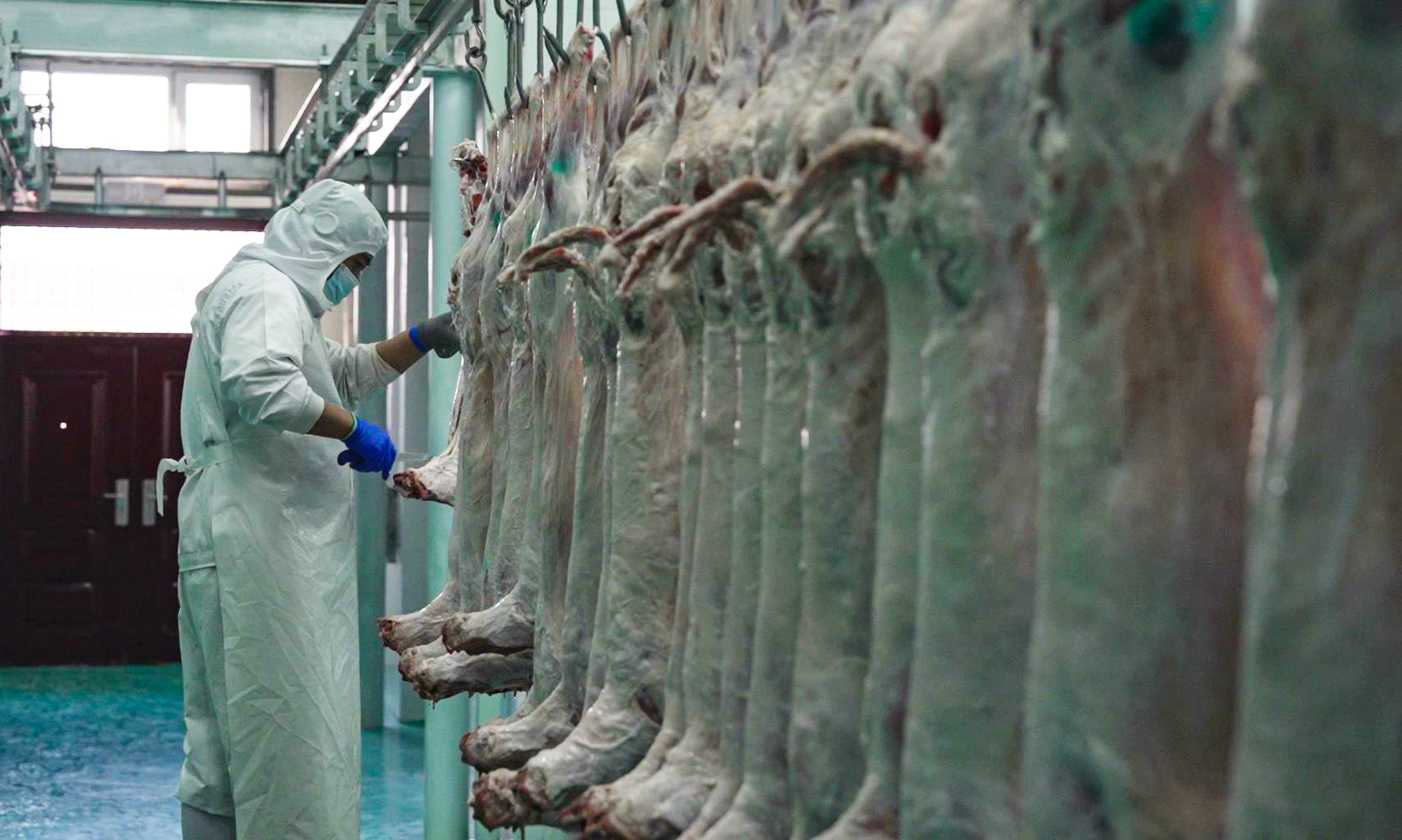 博州首家羊肉精深加工企业正式投产(图4)