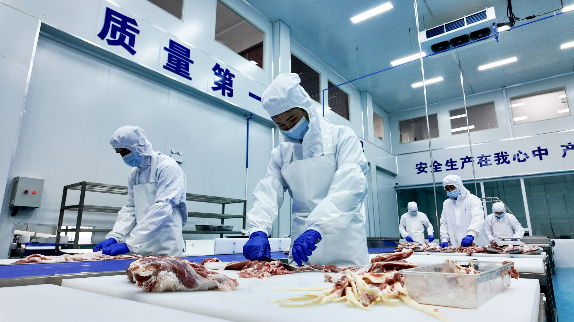 博州首家羊肉精深加工企业正式投产(图2)