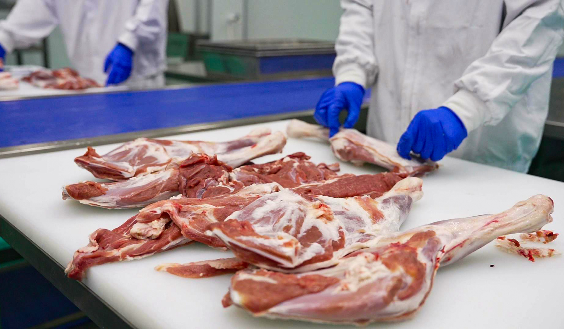 博州首家羊肉精深加工企业正式投产(图3)