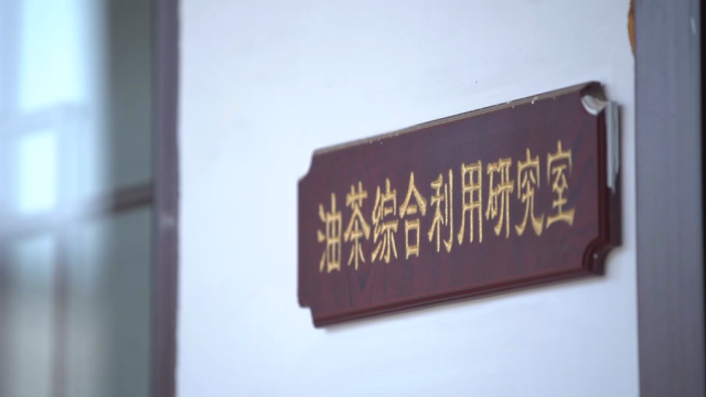 高质量发展调研行｜小村建大厂：解码农产品精深加工之路(图2)