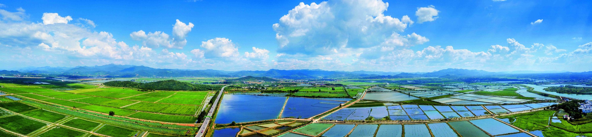 江西彭泽：总投资216亿元10个重点农业项目集中签约开工(图2)