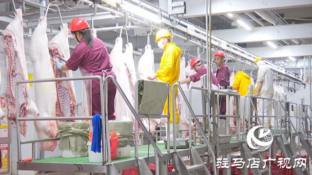 河南凯佳食品：打造肉类品牌新标杆推动食品产业高质量发展