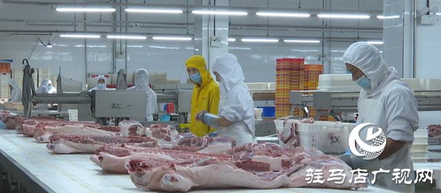 河南凯佳食品：打造肉类品牌新标杆推动食品产业高质量发展(图2)