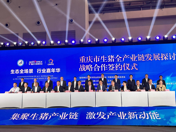 签约388亿元綦江区加快生猪全产业链建设(图2)