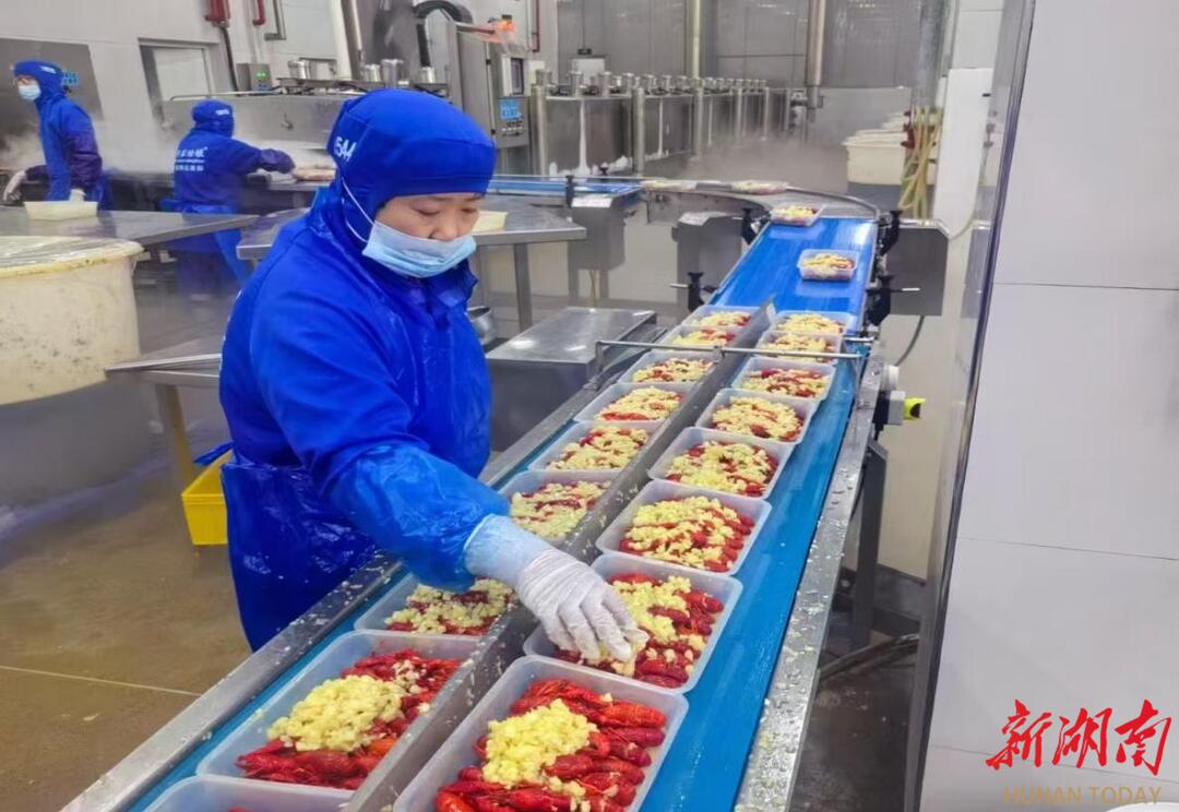 三个项目获得超长期国债1954万元资金支持南县企业设备更新初见效(图1)