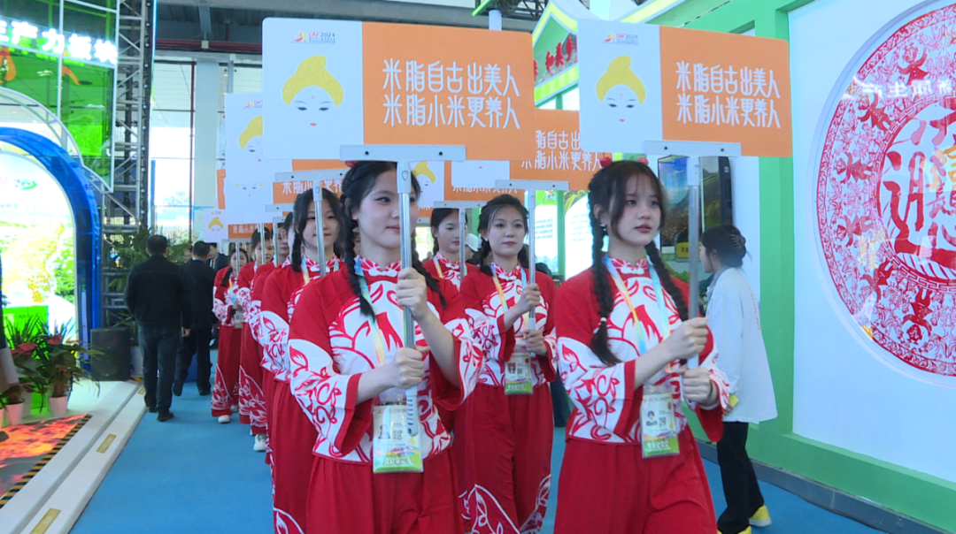 聚焦农高会陕西米脂县展团精彩亮相第三十一届杨凌农高会(图2)