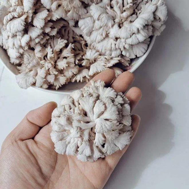 产业发展之旅：在田间地头寻找“毕节好物”(图8)