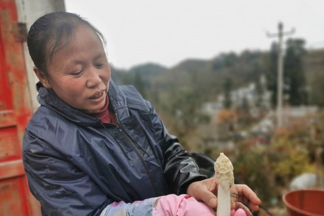 产业发展之旅：在田间地头寻找“毕节好物”(图10)
