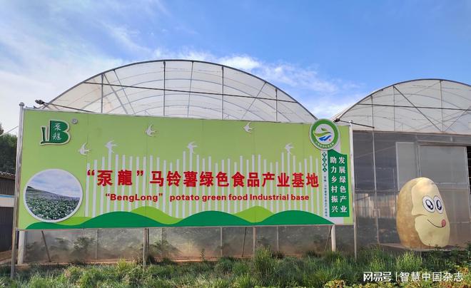 云南寻甸：科技创新聚力量薯香富民新篇章