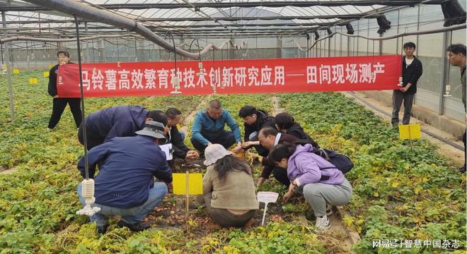 云南寻甸：科技创新聚力量薯香富民新篇章(图2)