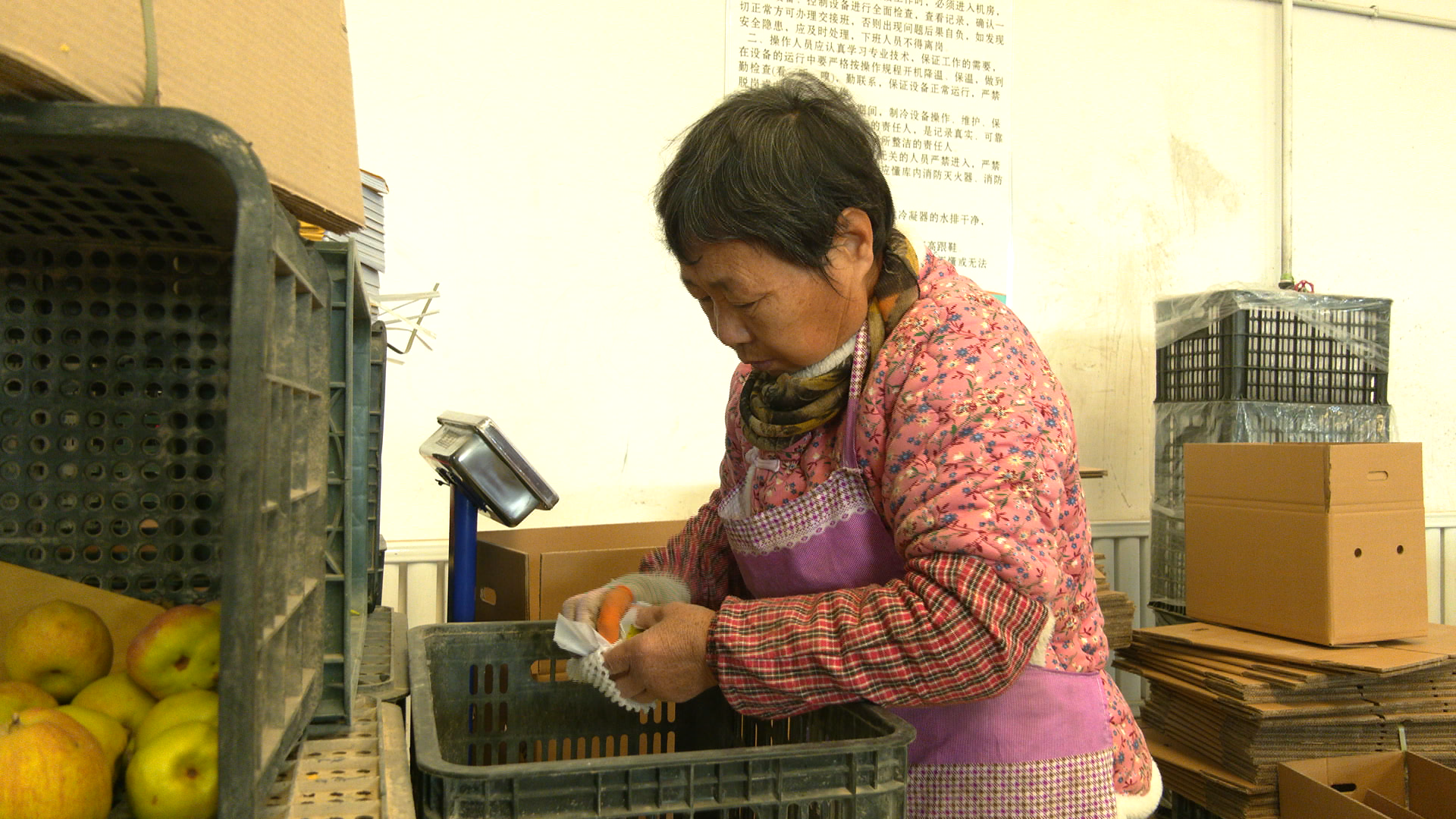 阿克苏市：特色林果精深加工带动农民就业增收
