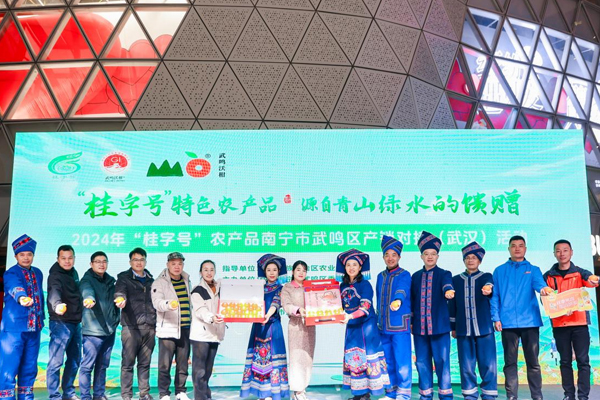 广西武鸣：以“沃”为媒甜蜜会江城(图3)