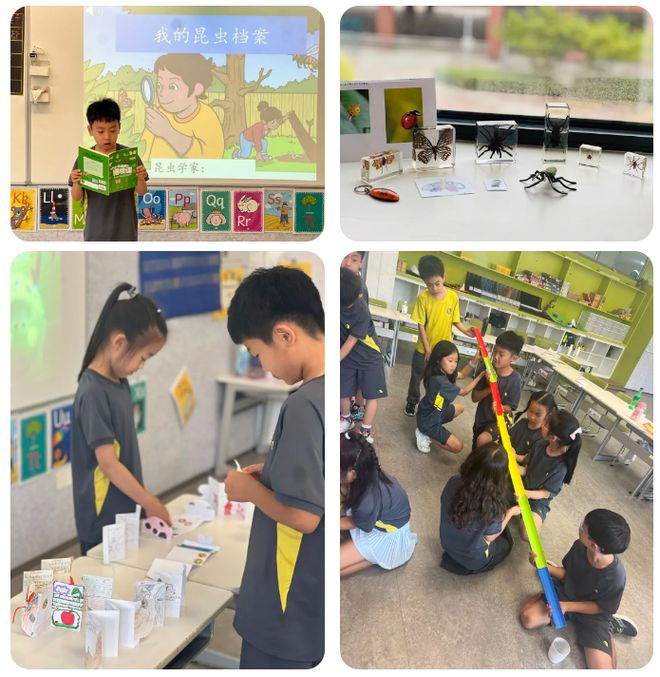 北京市朝阳区凯文学校｜科技赋能教育朝阳凯文学校已经步入NEXTLEVEL(图4)