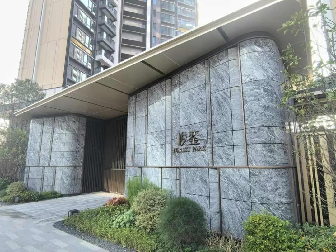 湾区“宇宙中心”硬核兑现！这板块配套全面大爆发(图29)
