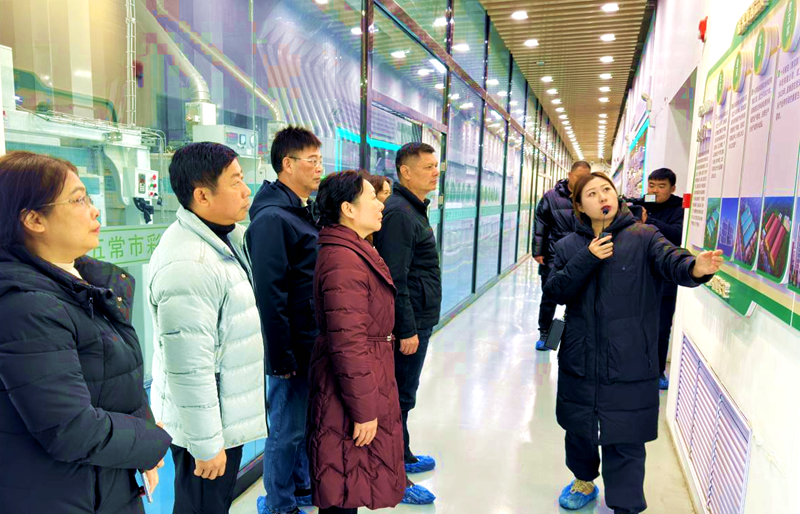 新田：杨诚率队赴哈尔滨考察农产品精深加工和秸秆综合利用工作