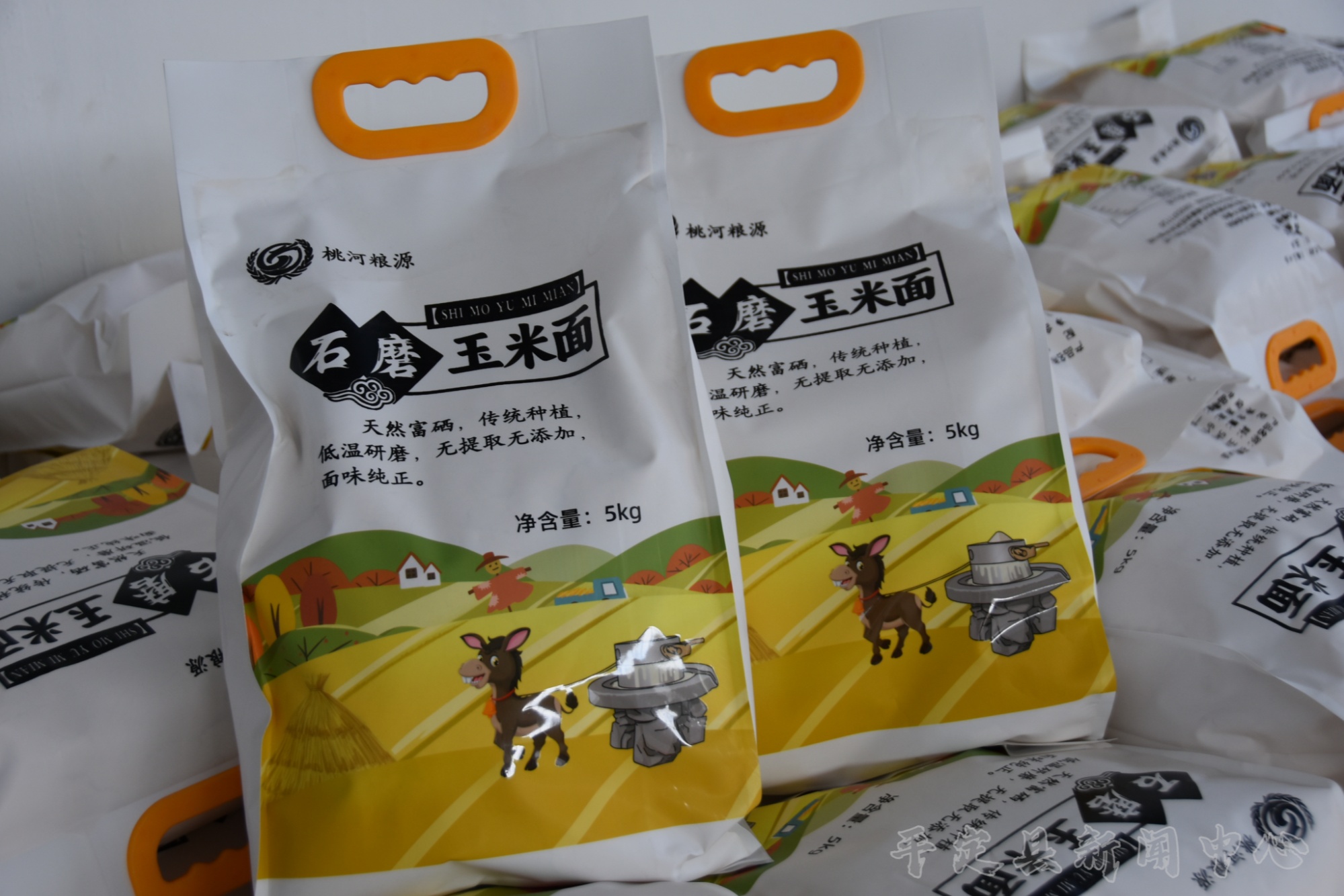 山西平定县龙庄村合作社农产品深加工铺就村民致富路(图2)