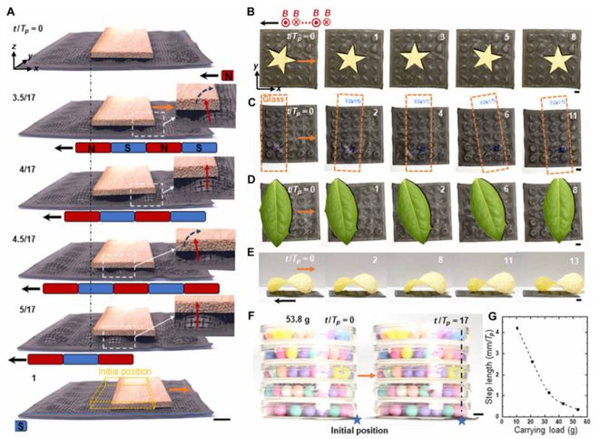 科学家研发全新磁控变形材料不用触碰也能移动物体(图4)