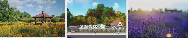 德贤御府(售楼处)-2024首页丨德贤御府最新发布网站详情(图13)