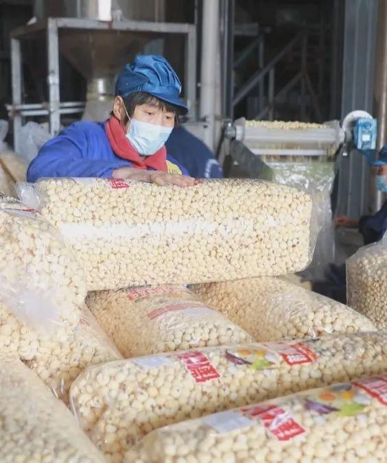 阜阳这里的小米花“爆”出亿元大产业！(图4)