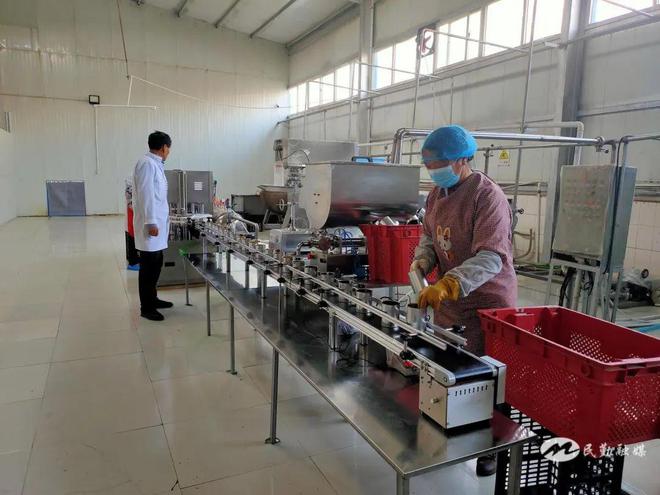 从“田间”到“车间”再到“直播民勤特色产业“三级跳”