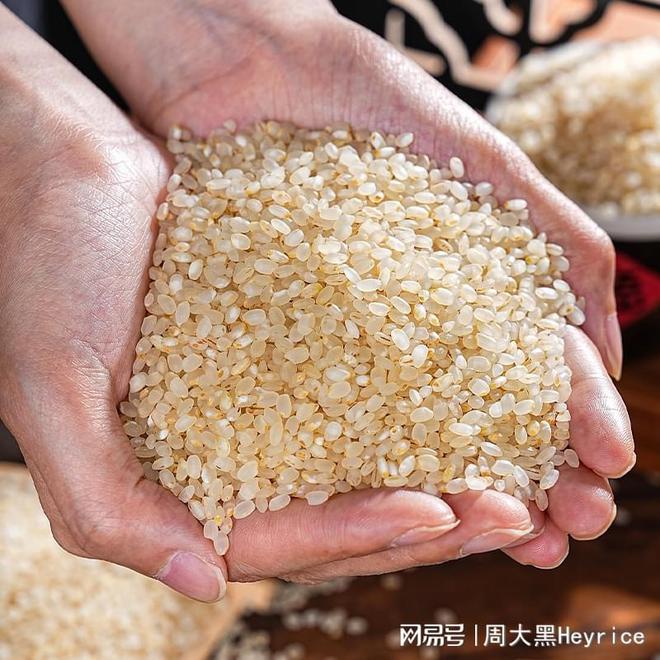 主粮革命创新粮食产业带来增量新机遇(图7)