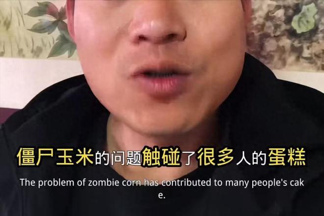 天塌了！玉米被曝出是“僵尸玉米”减肥的养生的消费者直接懵了