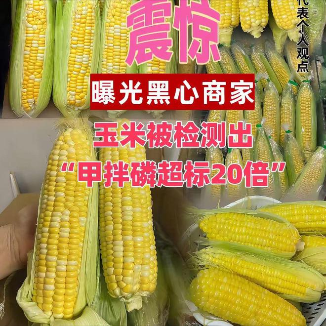 天塌了！玉米被曝出是“僵尸玉米”减肥的养生的消费者直接懵了(图3)