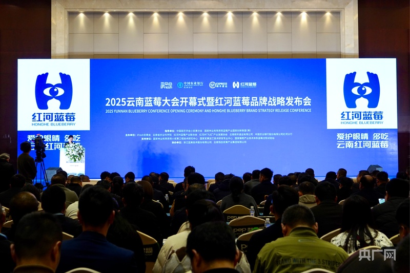 2025年云南蓝莓大会开幕启用红河蓝莓新品牌