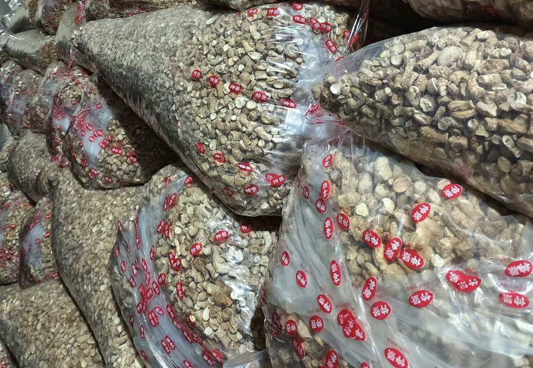 河南西峡小香菇成农民增收的香饽饽高质量发展调研行(图2)