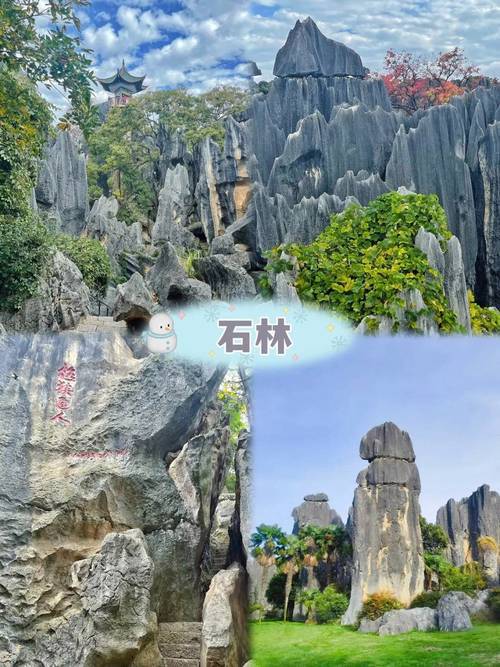两人去云南旅游六天五晚纯玩路线日游纯玩团费用(图2)