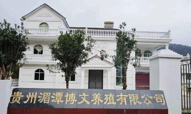 遵义湄潭：黑猪肉腊制品生产忙