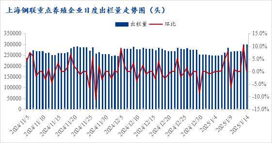 Mysteel解读：2025年春节前夕生猪市场走势分析及价格上行潜力评估(图2)