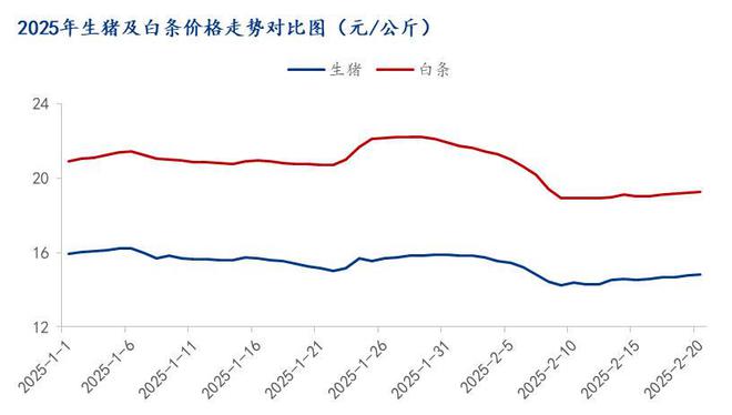 Mysteel解读：生猪及猪肉市场从节后遇冷到震荡前行(图2)