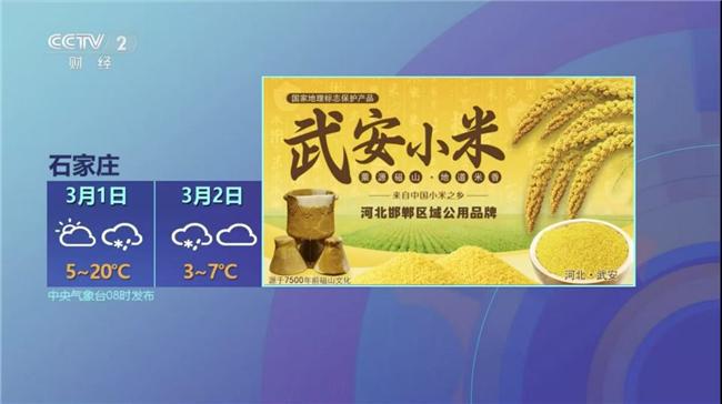 “武安小米”荣登央视以小米产业助力乡村振兴
