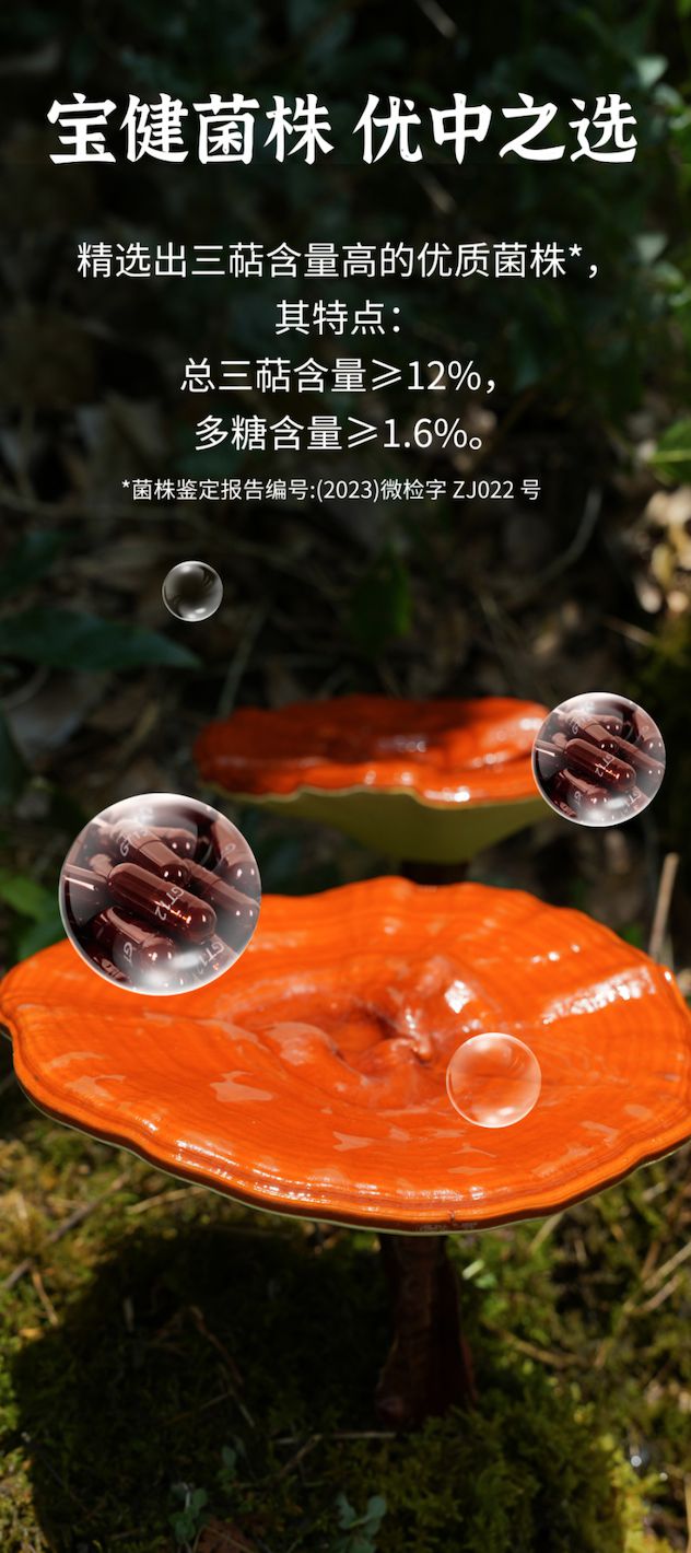 宝健年度新品发布：破壁灵芝孢子粉上市