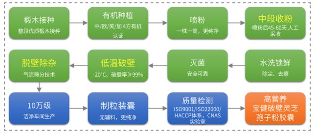 宝健年度新品发布：破壁灵芝孢子粉上市(图3)
