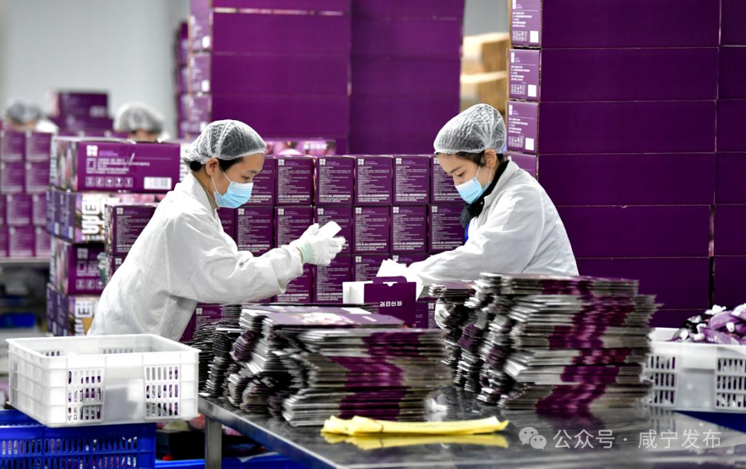 打造绿色食品加工新高地(图3)