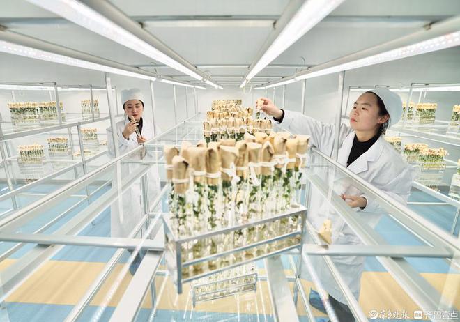 齐鲁晚报德州融媒中心作品获2024山东“双百”网络正能量精品(图4)