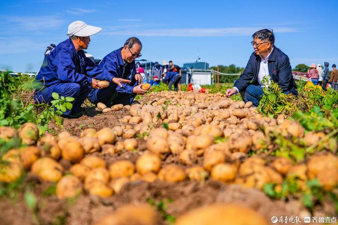 齐鲁晚报德州融媒中心作品获2024山东“双百”网络正能量精品(图3)